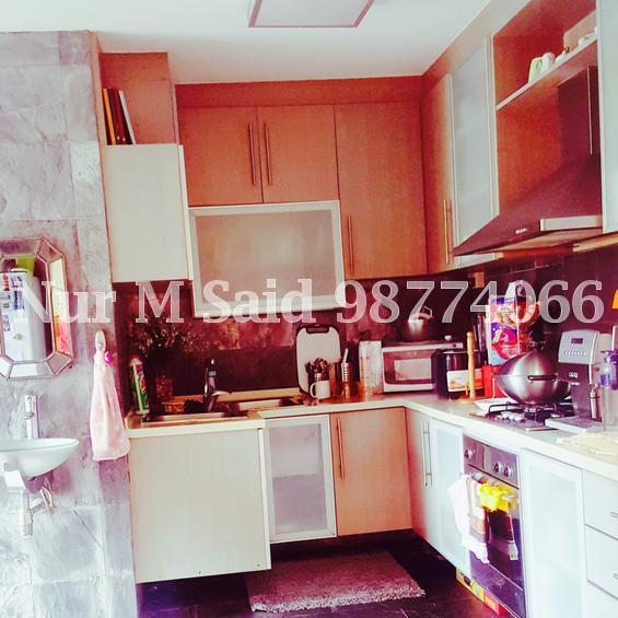 Blk 239 Bukit Panjang Ring Road (Bukit Panjang), HDB Executive #142354082